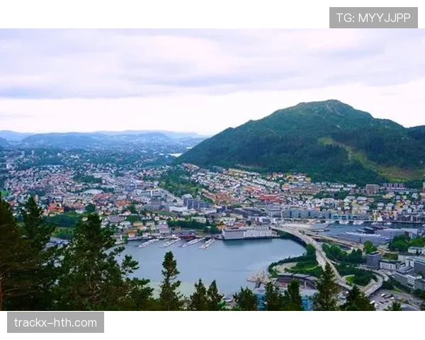 挪威队球迷“北欧雄狮”热情助威，团结展现稳健支持