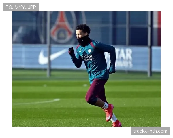 扎伊尔埃梅里风格分析